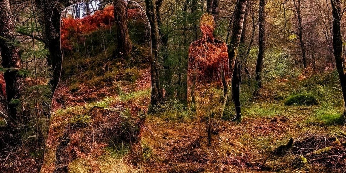 Iluzii artistice în pădurile din Scoția