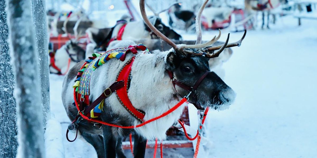 Laponia: locul unde te poţi întâlni cu Moş Crăciun