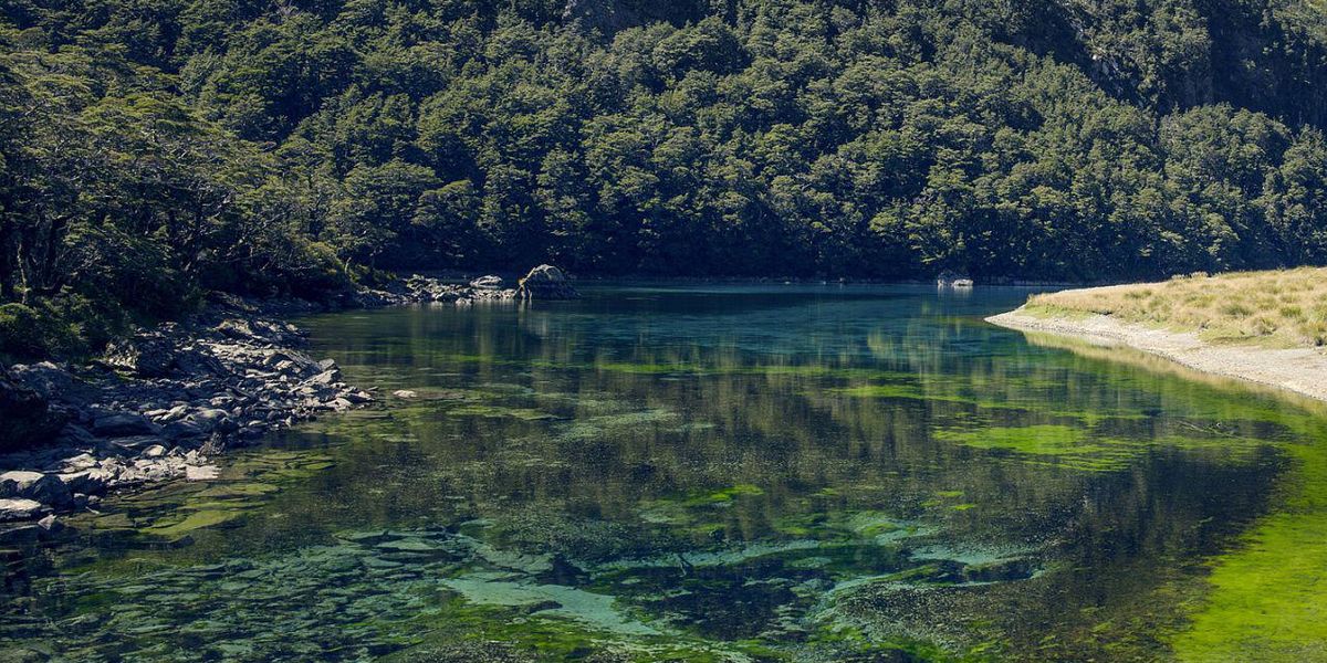 Lacul cu cea mai limpede apă din lume are o claritate de până la 80 m