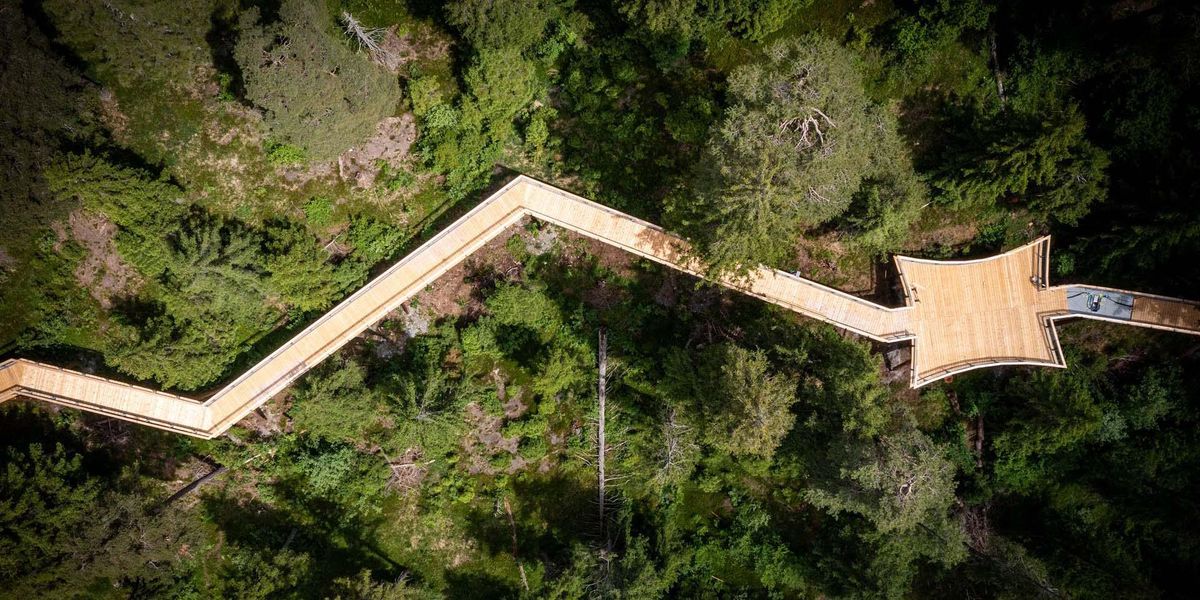 Svájcban található a világ leghosszabb lombkorona-ösvénye