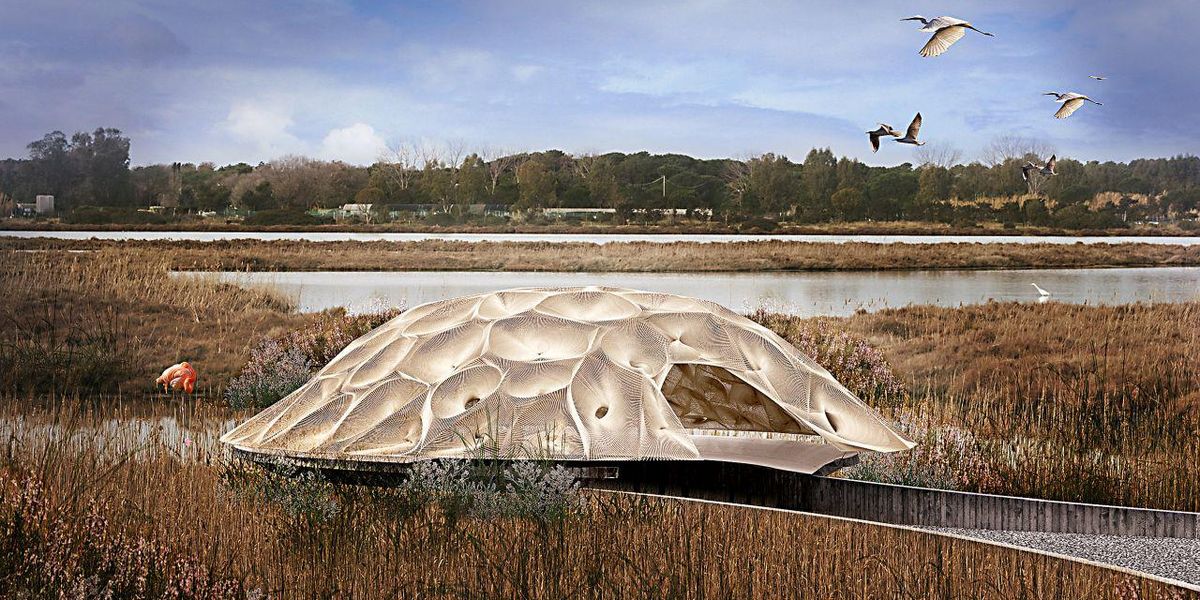 „Eco-cuiburi”: cabine de observare spectaculoase și sustenabile