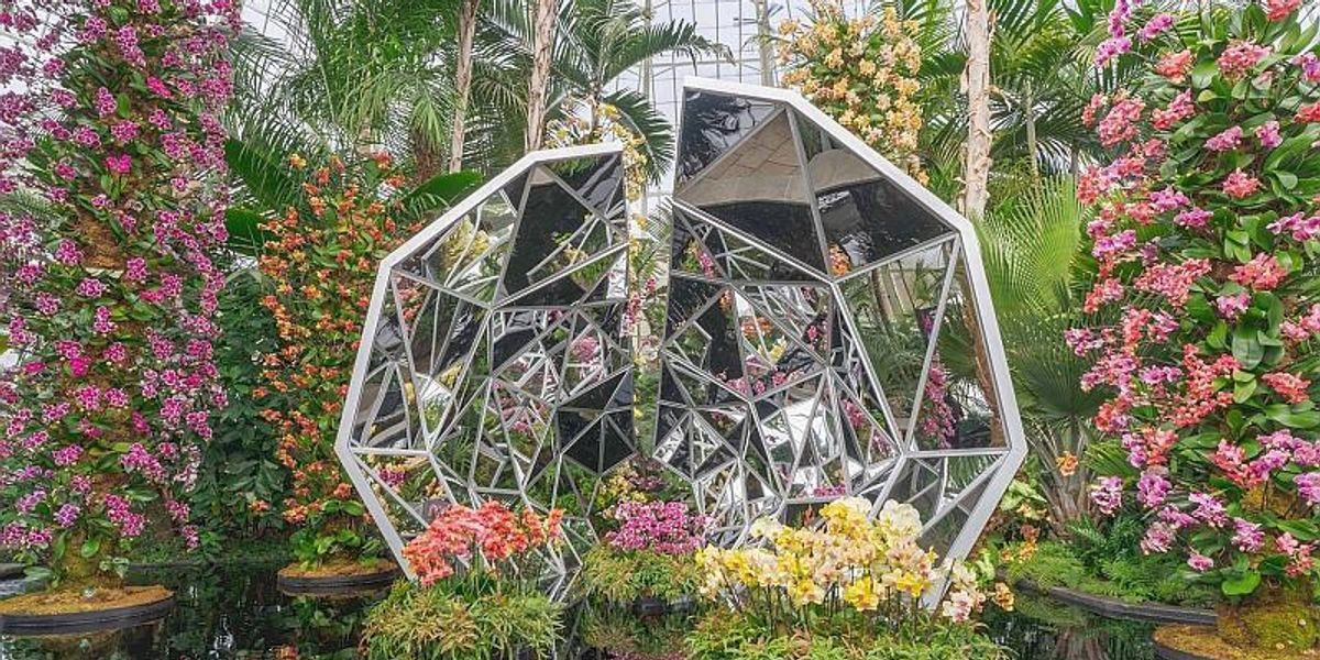 Expoziția orhideelor din New York: cel mai instagramabil eveniment pe care l-ai văzut vreodată