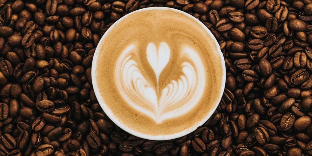 Út a cserjétől a csészéig – honnan és hogyan jön a kávé?