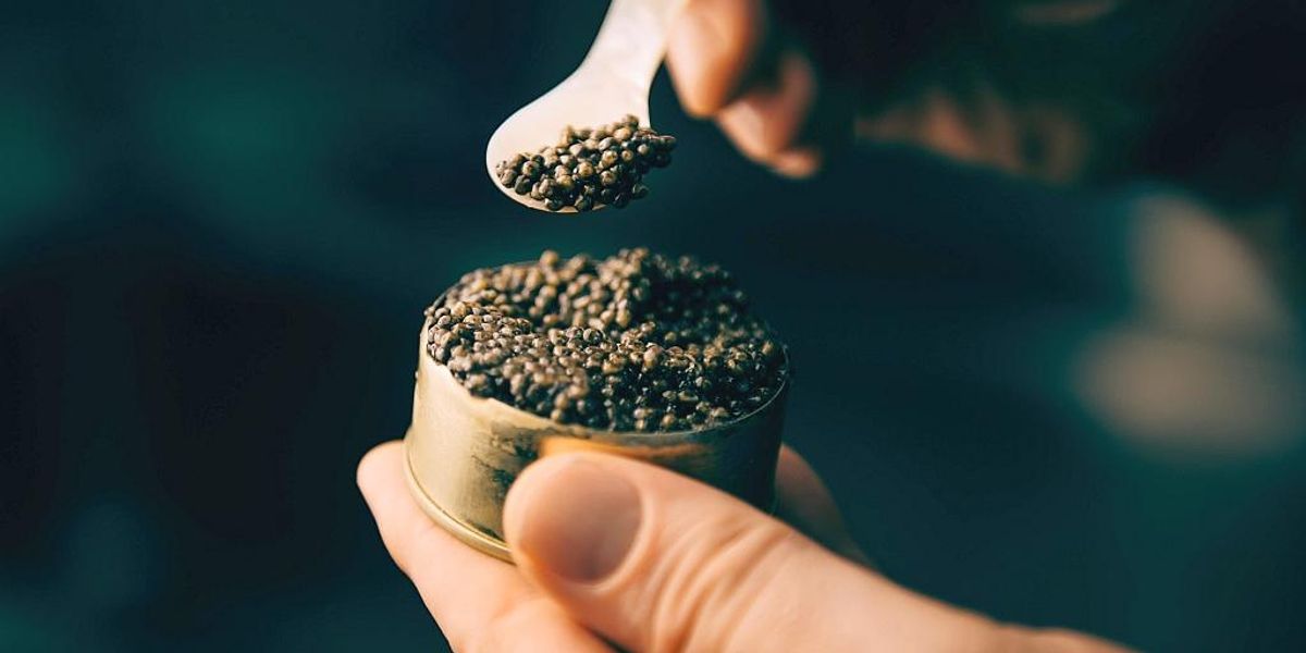 Bucătărie mondială: care este cel mai scump caviar și de ce este special?