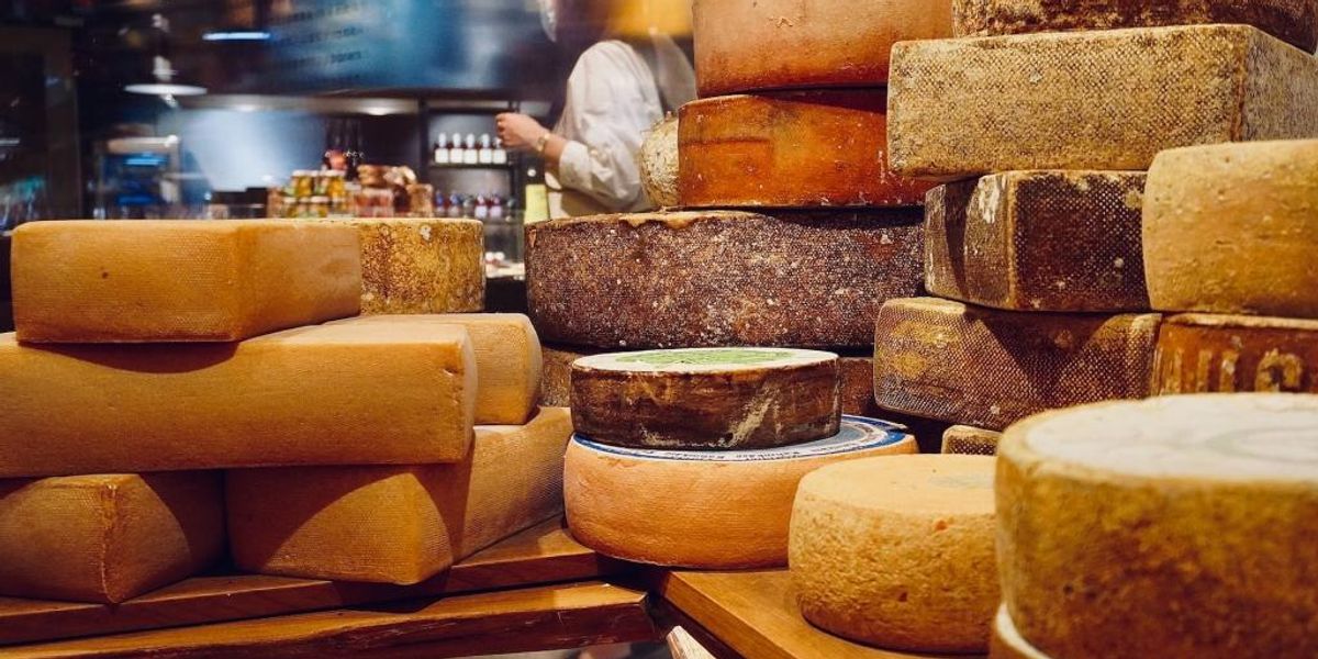 Applikáció, ami segít felismerni a sajtokat? Igen, immár ez is létezik!