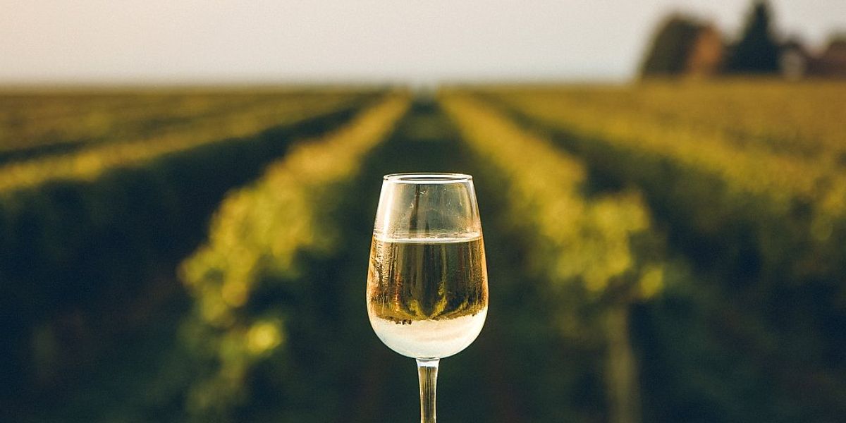 Îți place Portugalia și vinul? Descoperă regiunea Vinho Verde  din ce în ce mai populară!