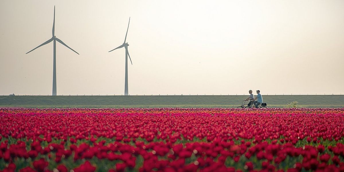 Nincs ennél színesebb program Európában – Hollandia a tulipánvirágzás idején! (1. rész)