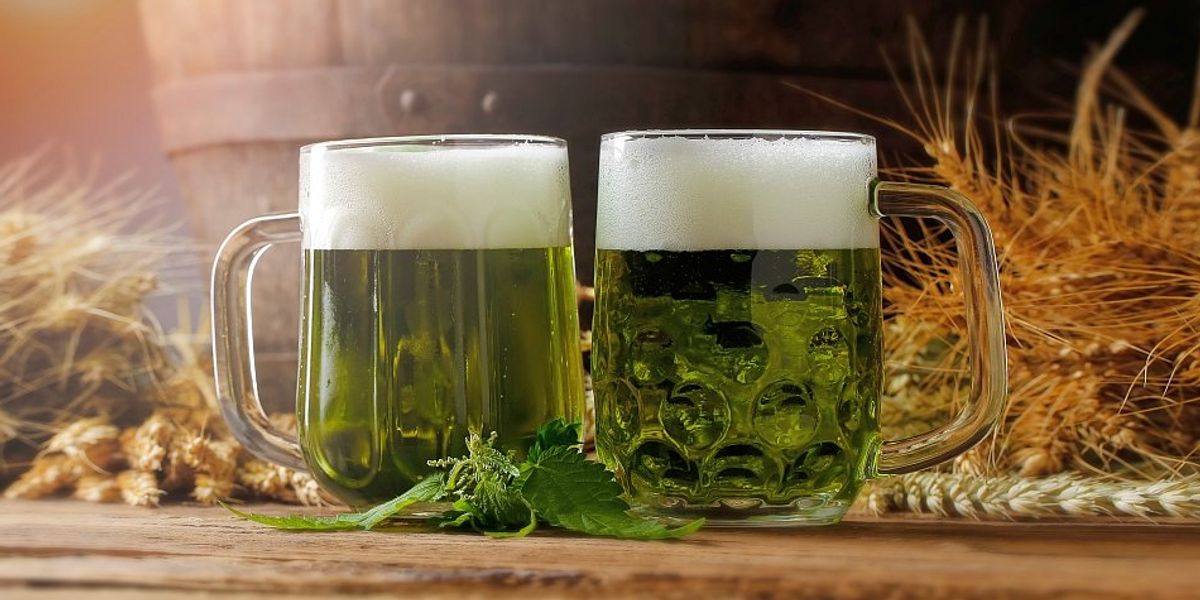 5 + 1 érdekesség a csehországi zöld sörről