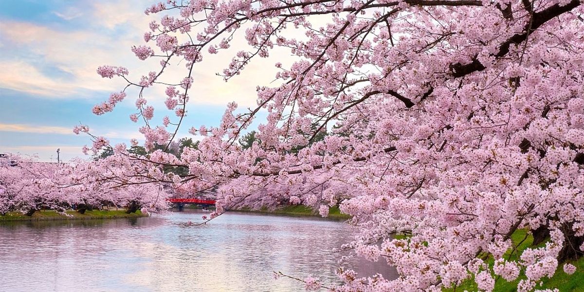 4 tavaszi city break, ha nem Japánban gyönyörködnénk a cseresznyevirágzásban