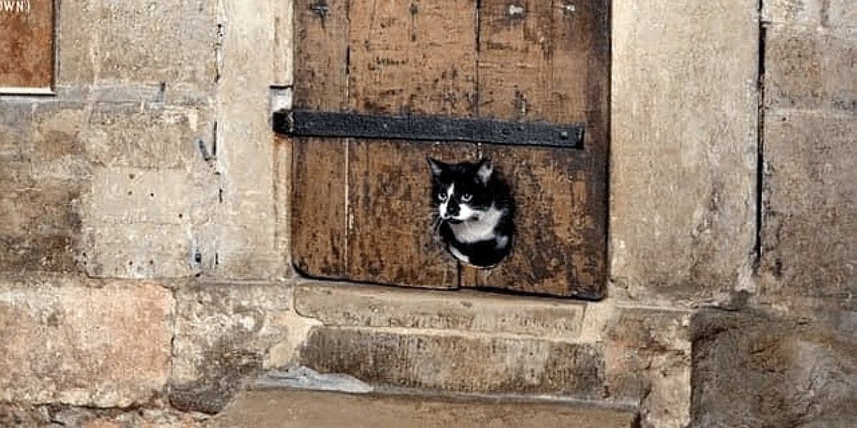 Cea mai veche ușă pentru pisici este în funcțiune de peste 400 de ani