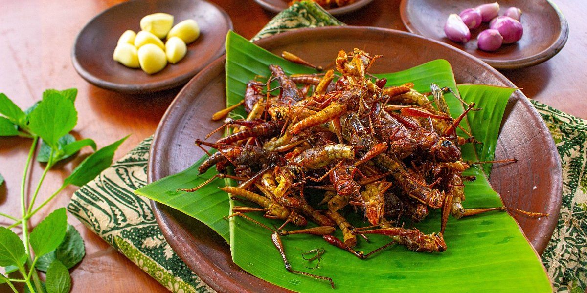 5 alimente tradiționale din insecte care ar putea încă să facă furori în Europa