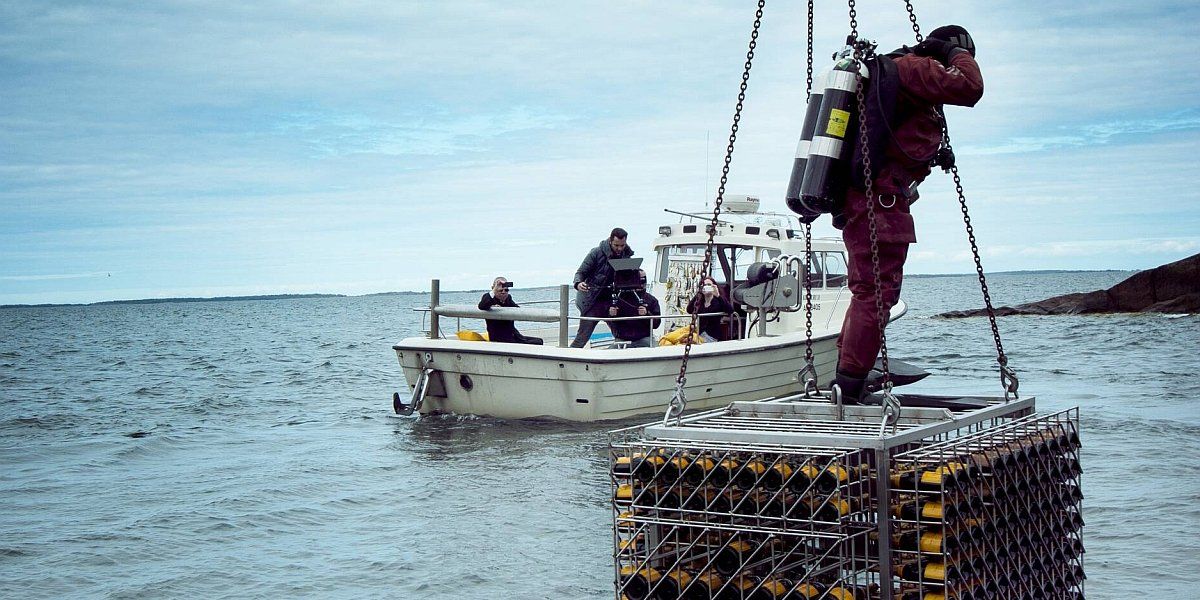 Forradalmi újítás jöhet a borászatban a tenger alatti érleléssel