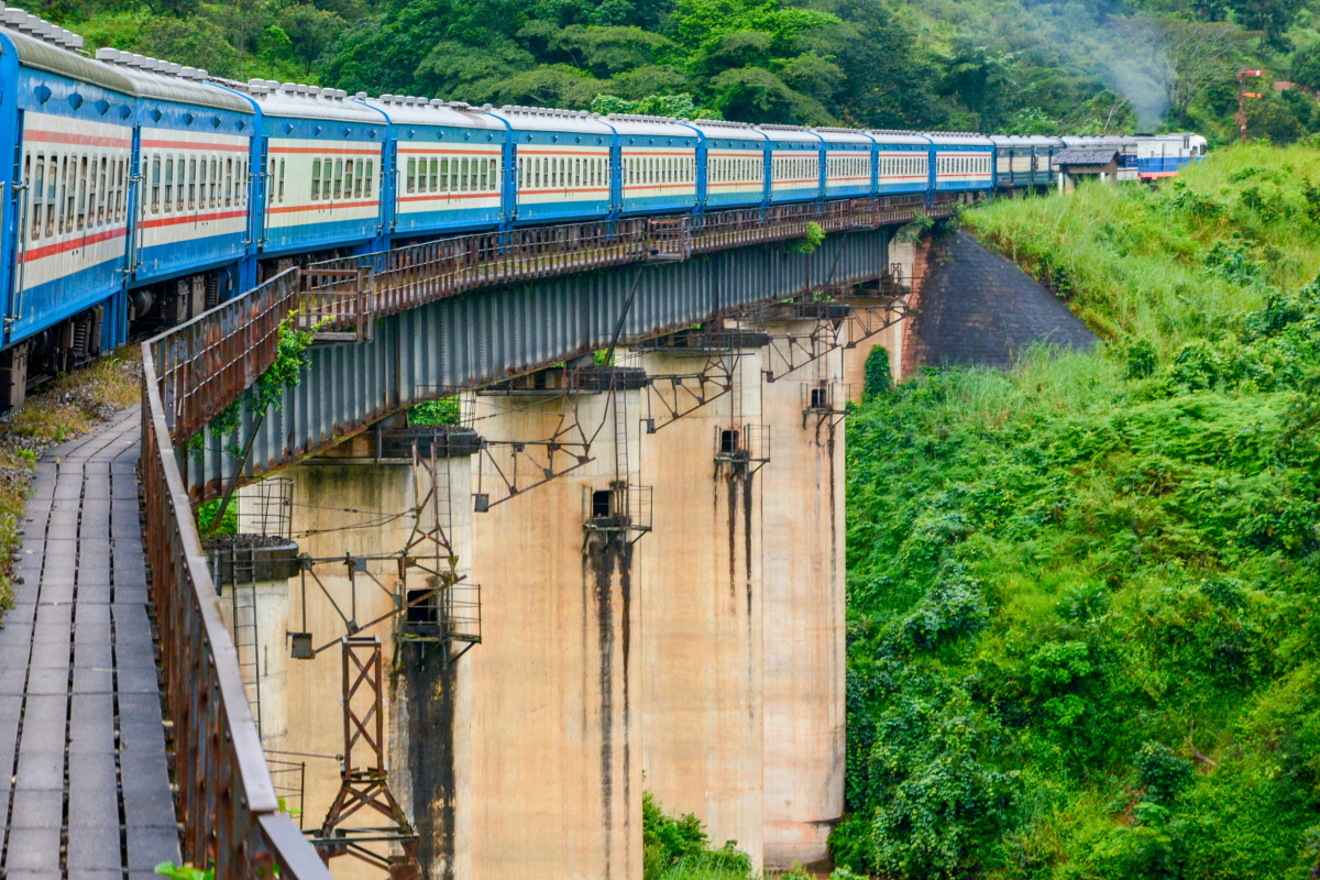 Două țări, 2.000 km, 46 de ore – poți vedea marile animale ale Africii pe una dintre cele mai palpitante rute feroviare din lume