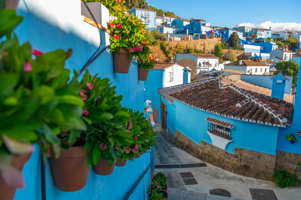 Locul unde toate casele au devenit albastre – și asta a schimbat totul