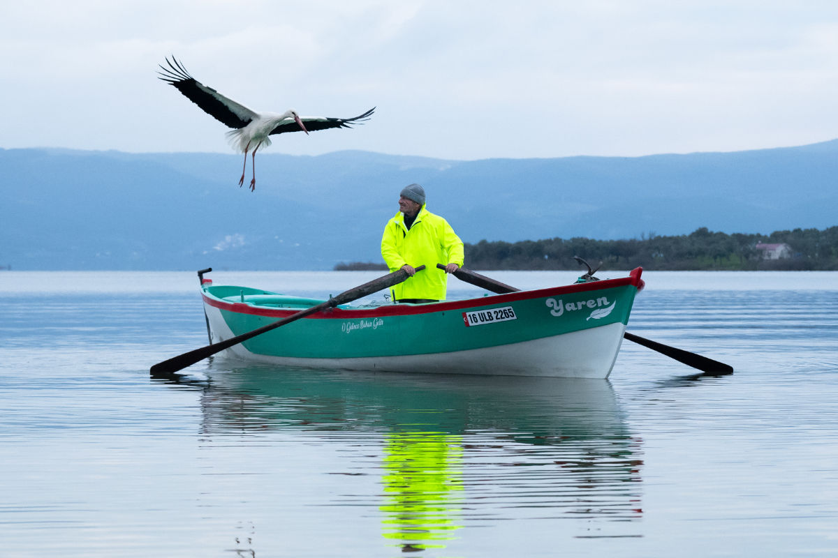 Barza care se întoarce de cincisprezece ani la același pescar din Turcia