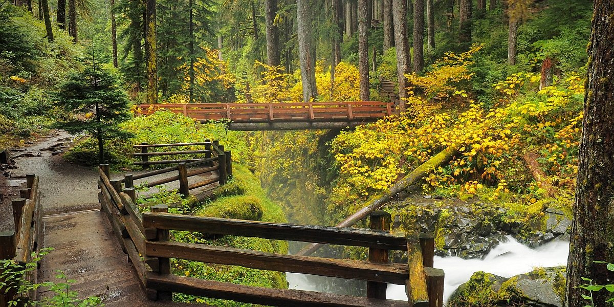 Egy nonprofit cég igyekszik megőrizni világ legcsendesebb helyeit