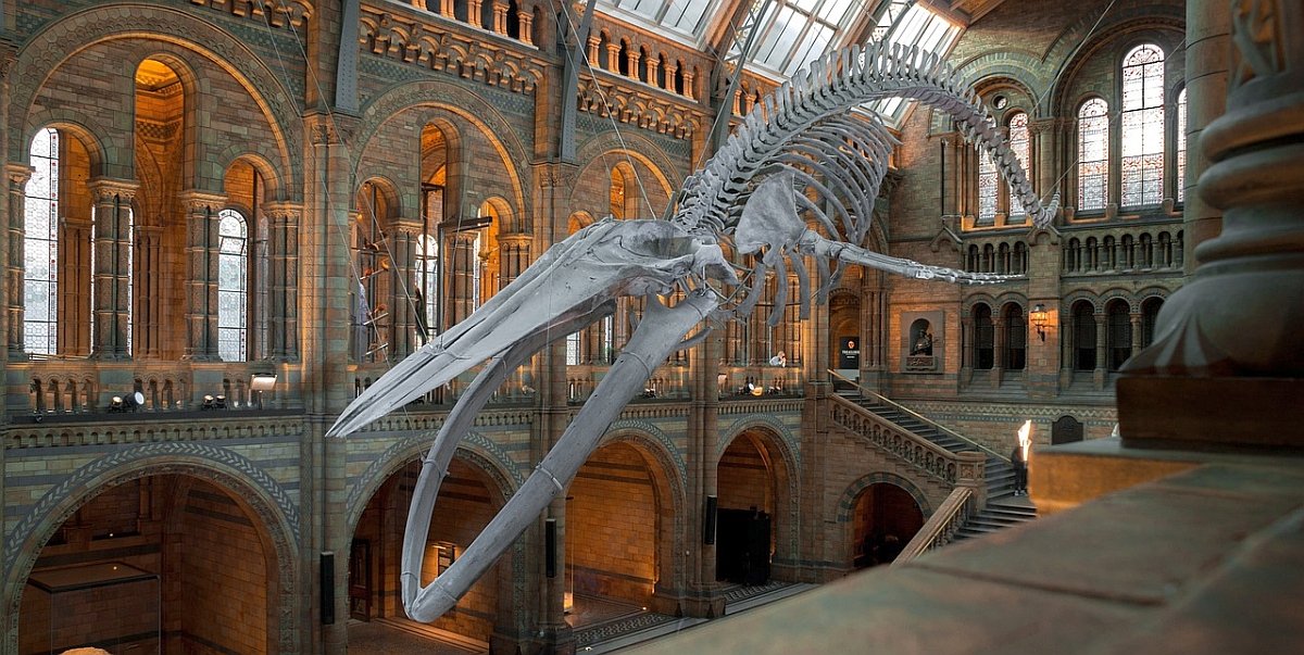 Multe atracții pot fi vizitate în mod gratuit în Londra