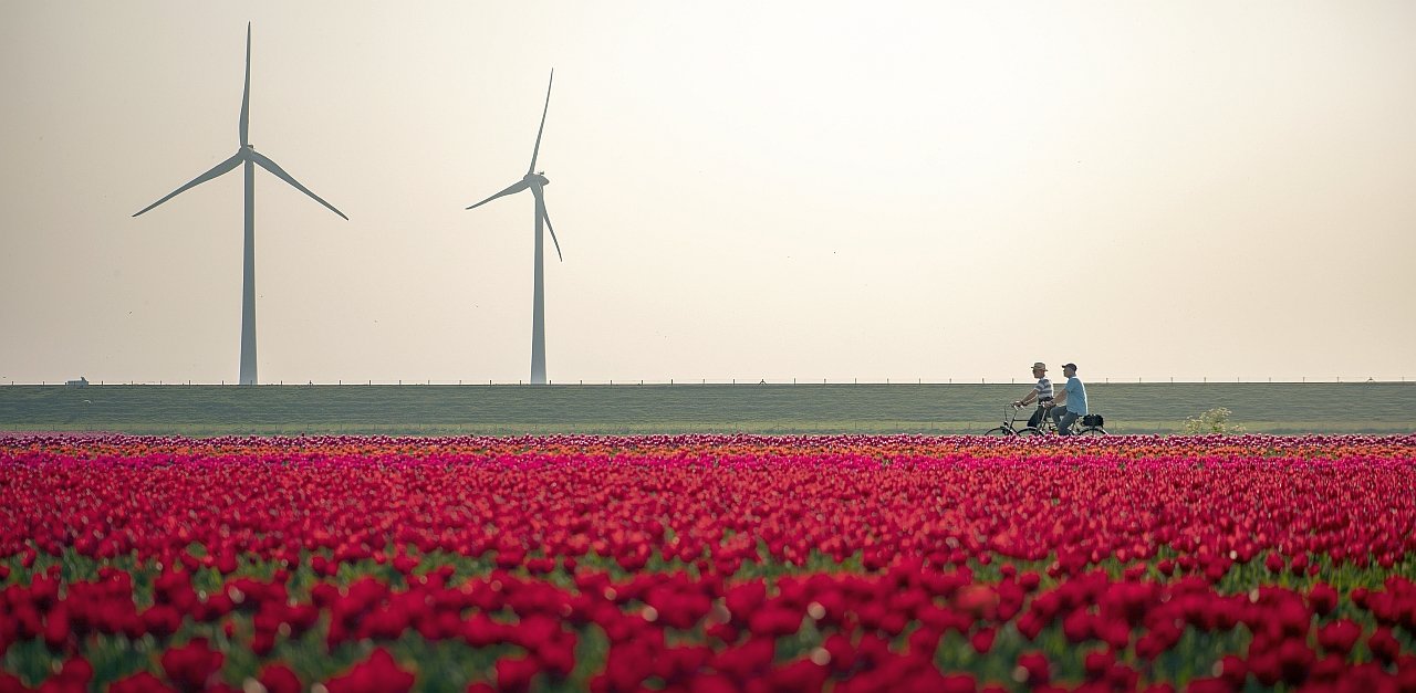 Nincs ennél színesebb program Európában – Hollandia a tulipánvirágzás idején! (1. rész)