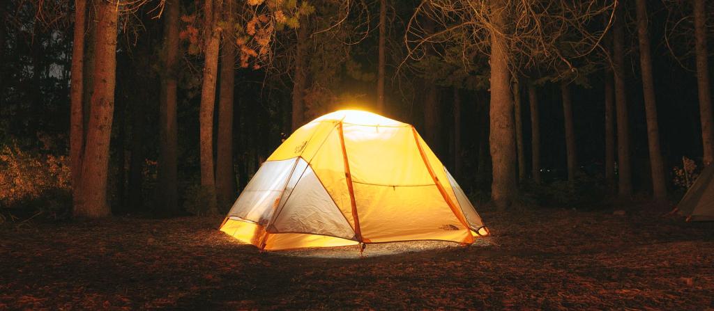 Să facem o lampă din miere: excelentă pentru camping și în timpul penelor de curent