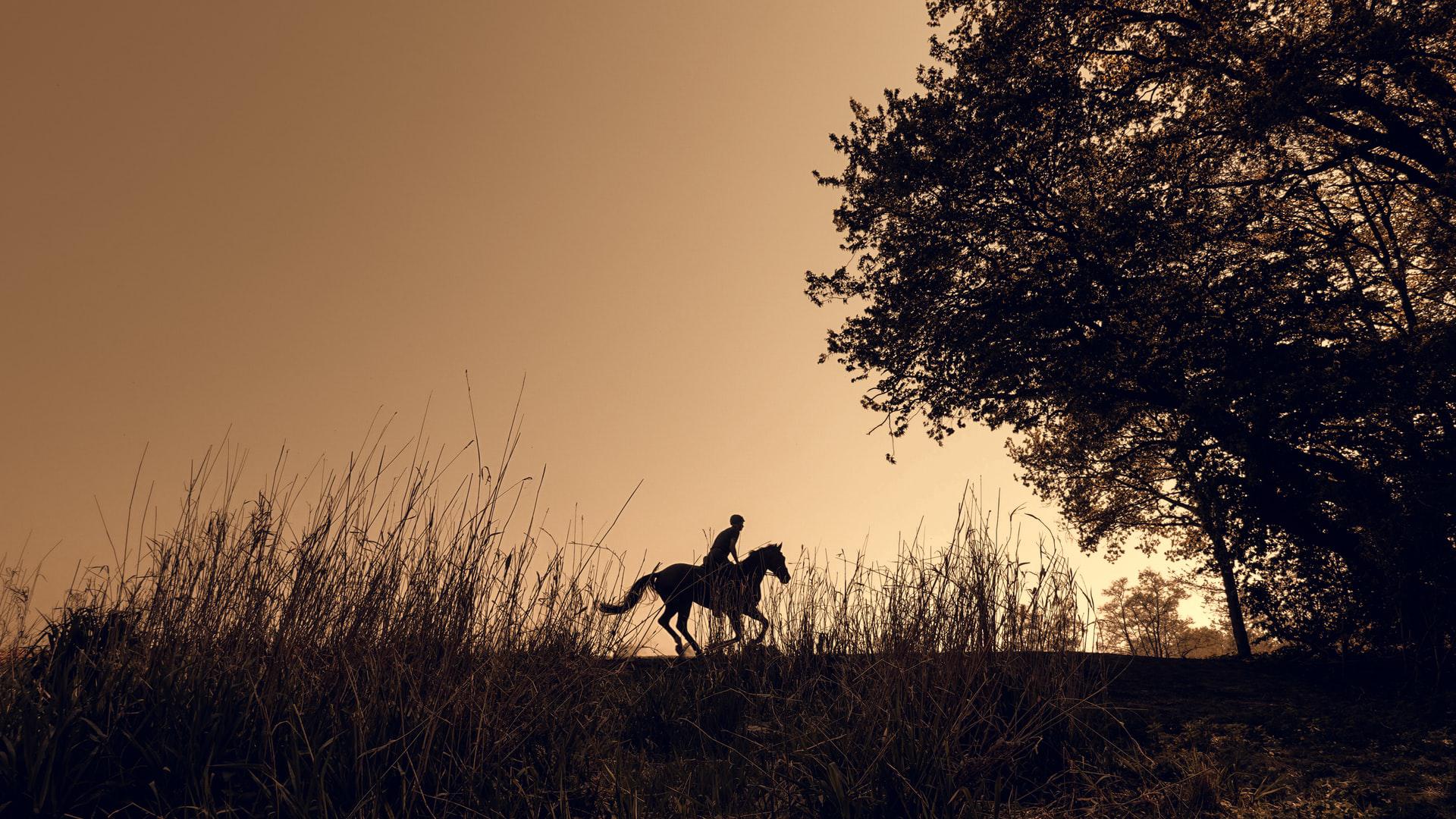 Hány nap alatt érnénk lóháton Londonba, Párizsba vagy Rómába?