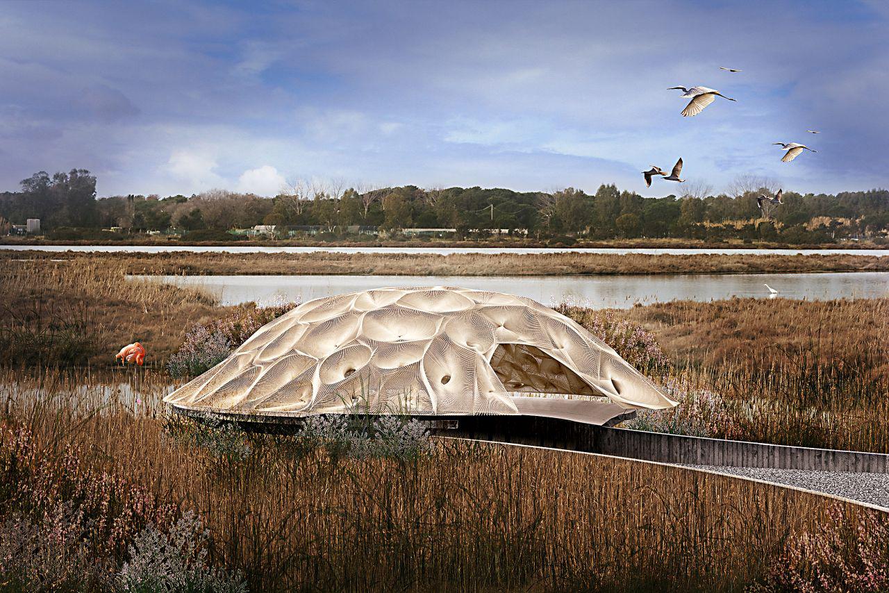 „Ökofészkek”: látványos és fenntartható megfigyelőkabinok