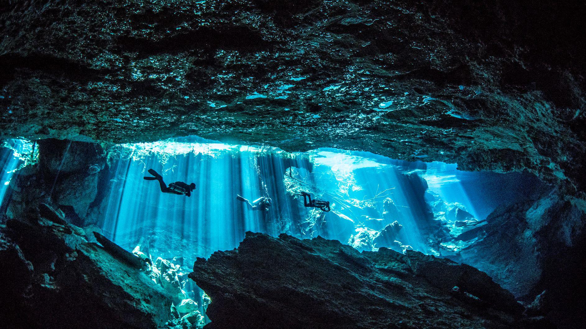 Cápák, ráják, bálnák – egy profi búvár élménybeszámolója